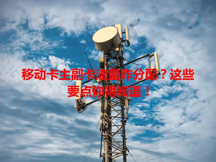 移动卡主副卡流量咋分配？这些要点你得知道！