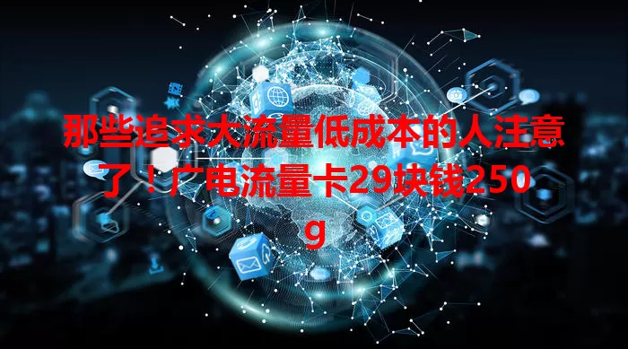 那些追求大流量低成本的人注意了！广电流量卡29块钱250g