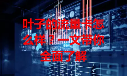 叶子的流量卡怎么样？一文带你全面了解