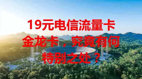 19元电信流量卡金龙卡，究竟有何特别之处？