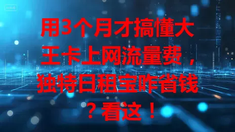 用3个月才搞懂大王卡上网流量费，独特日租宝咋省钱？看这！