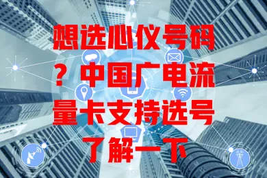 想选心仪号码？中国广电流量卡支持选号了解一下