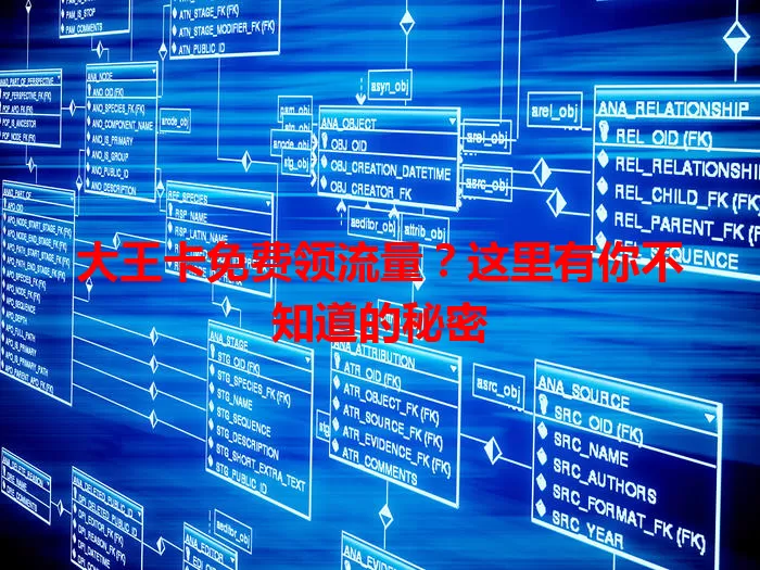 大王卡免费领流量？这里有你不知道的秘密