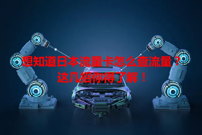 想知道日本流量卡怎么查流量？这几招你得了解！