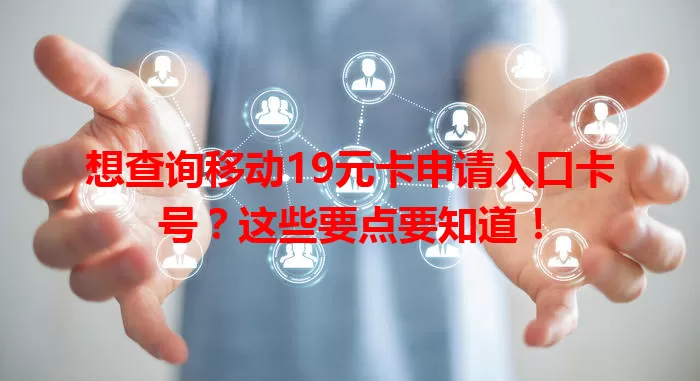 想查询移动19元卡申请入口卡号？这些要点要知道！