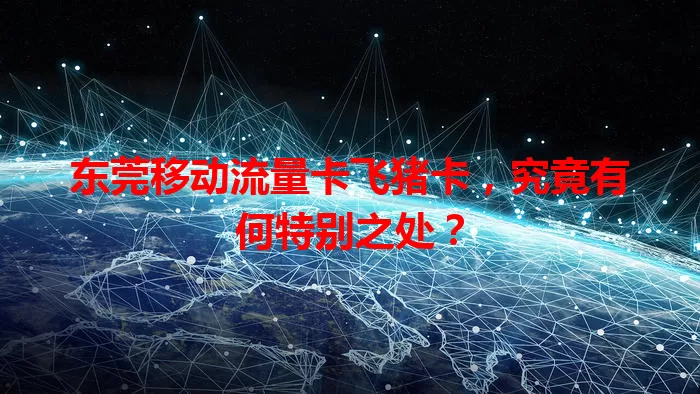东莞移动流量卡飞猪卡，究竟有何特别之处？