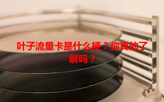 叶子流量卡是什么梗？你真的了解吗？