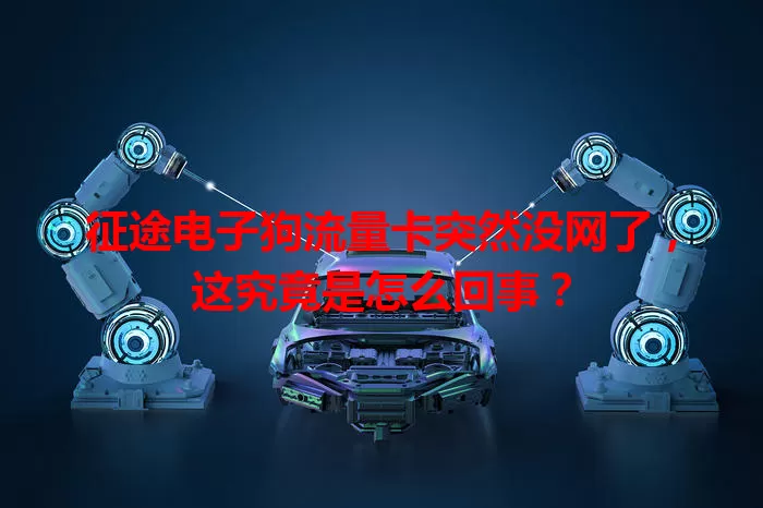 征途电子狗流量卡突然没网了，这究竟是怎么回事？
