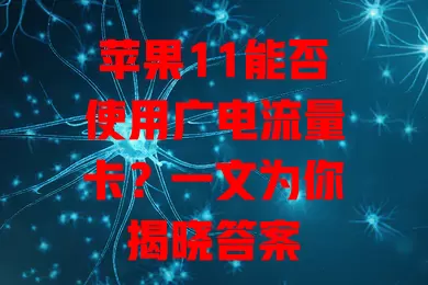 苹果11能否使用广电流量卡？一文为你揭晓答案