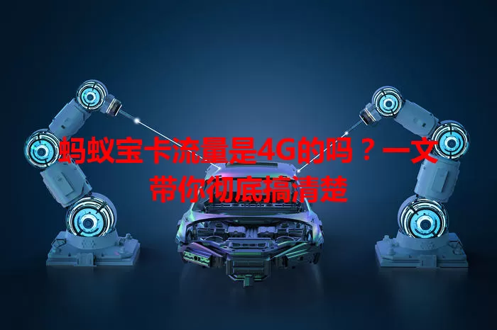 蚂蚁宝卡流量是4G的吗？一文带你彻底搞清楚