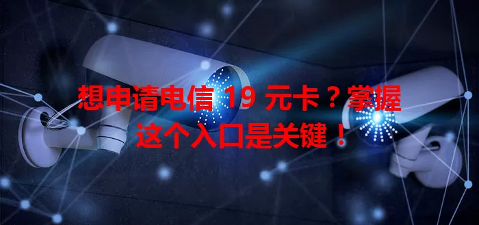 想申请电信 19 元卡？掌握这个入口是关键！