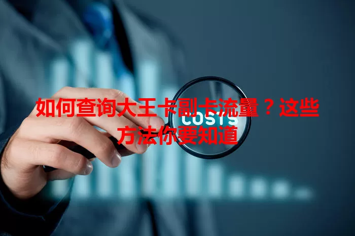 如何查询大王卡副卡流量？这些方法你要知道