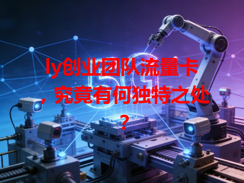 ly创业团队流量卡，究竟有何独特之处？