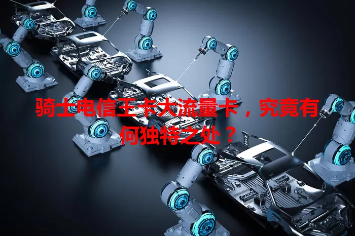 骑士电信王卡大流量卡，究竟有何独特之处？