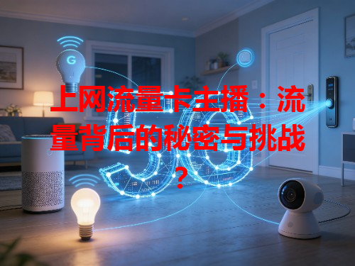 上网流量卡主播：流量背后的秘密与挑战？