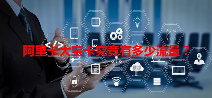 阿里卡大宝卡究竟有多少流量？