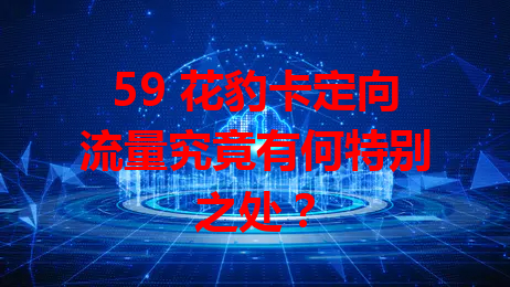 59 花豹卡定向流量究竟有何特别之处？