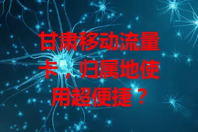 甘肃移动流量卡，归属地使用超便捷？