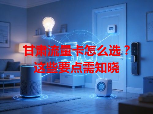 甘肃流量卡怎么选？这些要点需知晓