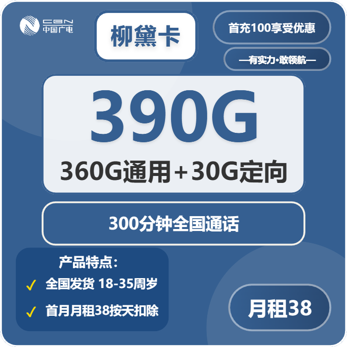 广电柳黛卡38元/月：390G流量+300分钟通话（长期套餐）
