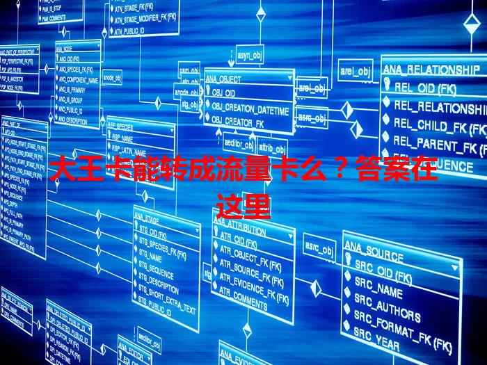 大王卡能转成流量卡么？答案在这里