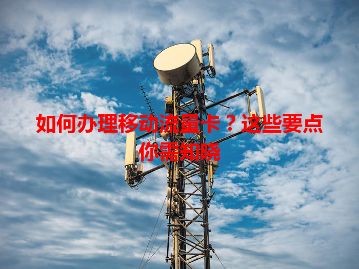 如何办理移动流量卡？这些要点你需知晓