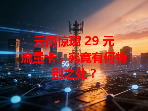 云南惊现 29 元流量卡，究竟有何特别之处？
