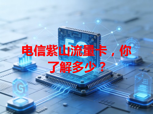 电信紫山流量卡，你了解多少？
