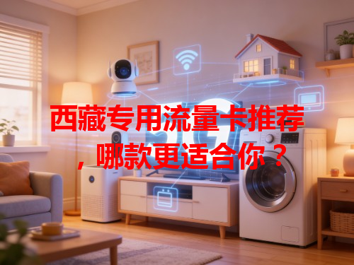 西藏专用流量卡推荐，哪款更适合你？