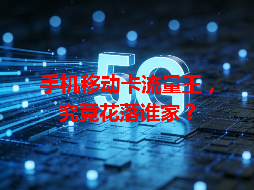 手机移动卡流量王，究竟花落谁家？