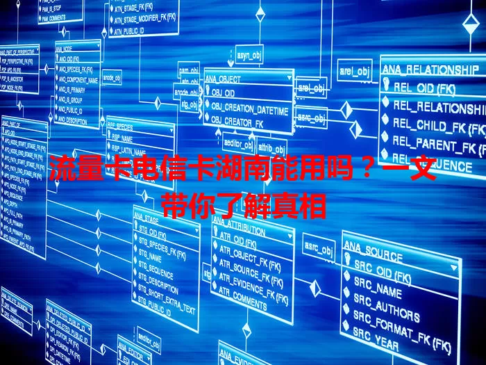 流量卡电信卡湖南能用吗？一文带你了解真相