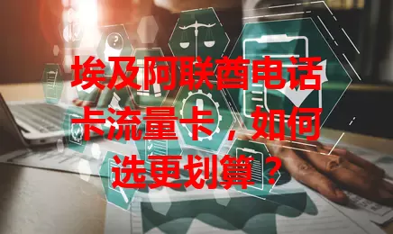 埃及阿联酋电话卡流量卡，如何选更划算？