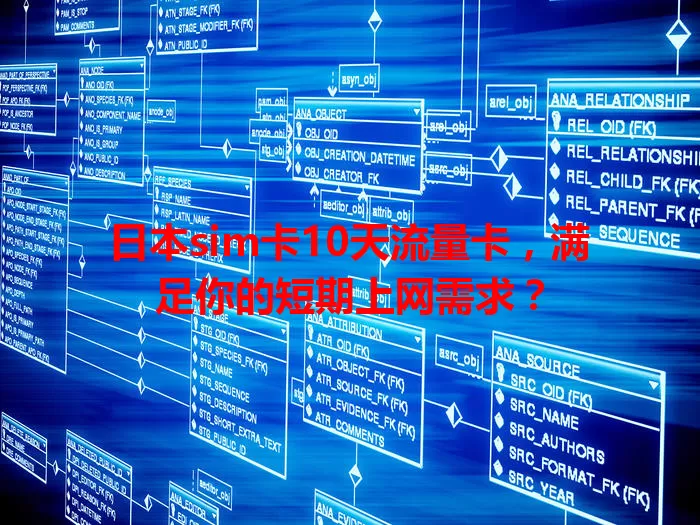 日本sim卡10天流量卡，满足你的短期上网需求？