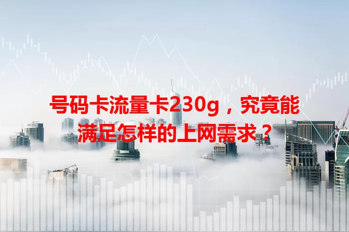号码卡流量卡230g，究竟能满足怎样的上网需求？