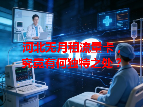 河北无月租流量卡，究竟有何独特之处？