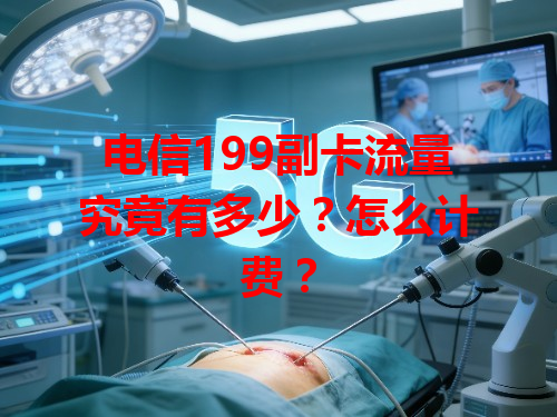 电信199副卡流量究竟有多少？怎么计费？