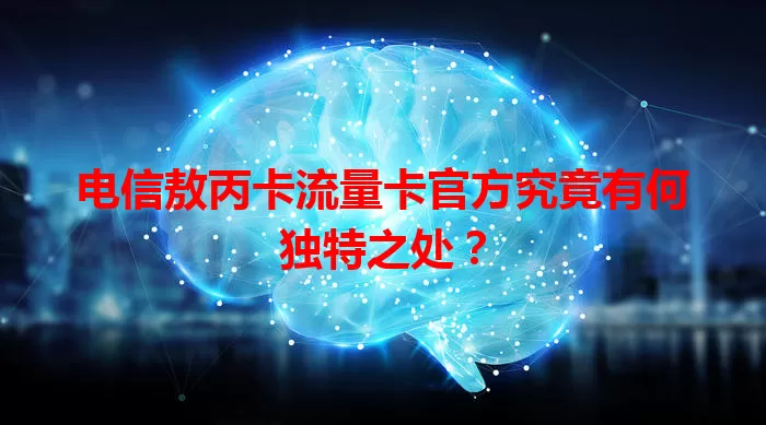 电信敖丙卡流量卡官方究竟有何独特之处？