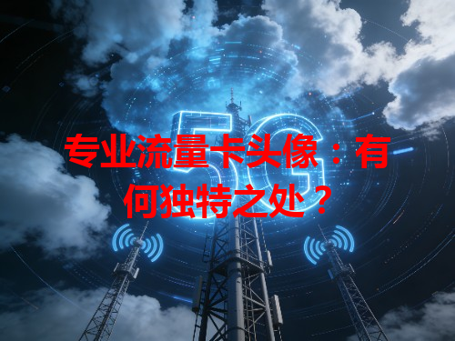 专业流量卡头像：有何独特之处？