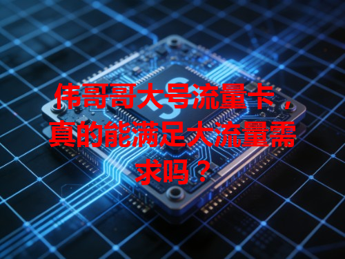伟哥哥大号流量卡，真的能满足大流量需求吗？