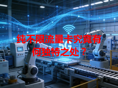 纯不限流量卡究竟有何独特之处？