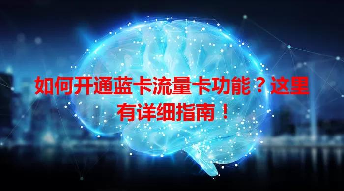 如何开通蓝卡流量卡功能？这里有详细指南！