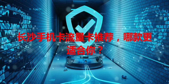 长沙手机卡流量卡推荐，哪款更适合你？