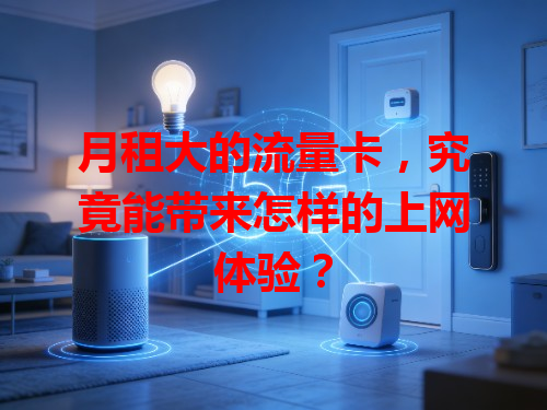 月租大的流量卡，究竟能带来怎样的上网体验？
