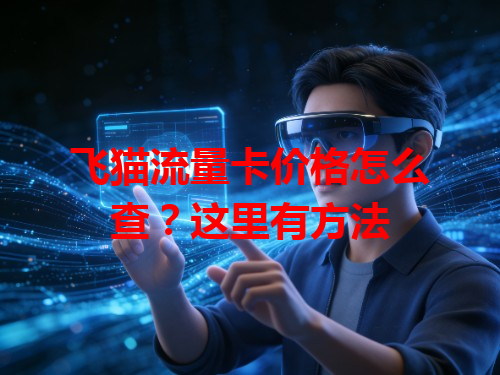 飞猫流量卡价格怎么查？这里有方法