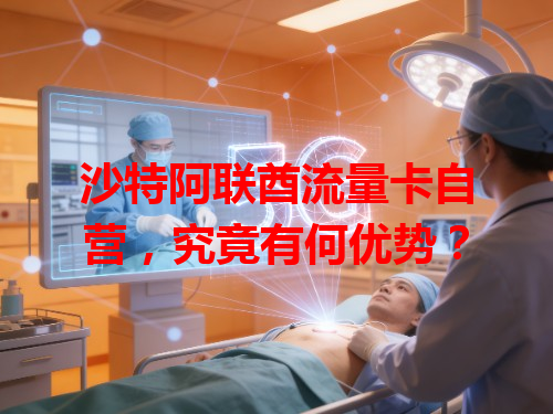 沙特阿联酋流量卡自营，究竟有何优势？
