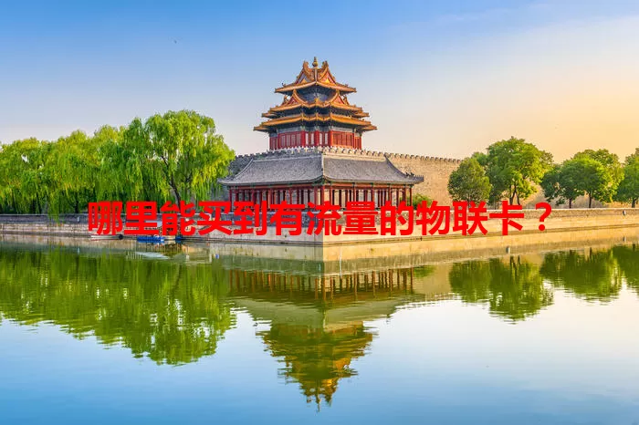 哪里能买到有流量的物联卡？