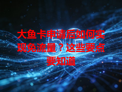大鱼卡申请后如何实现免流量？这些要点要知道