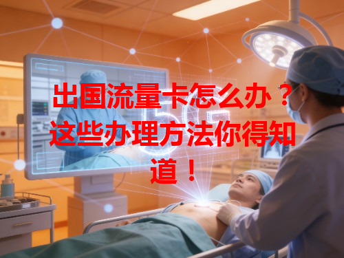 出国流量卡怎么办？这些办理方法你得知道！