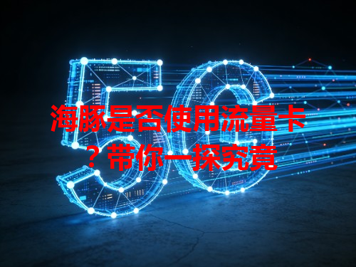 海豚是否使用流量卡？带你一探究竟