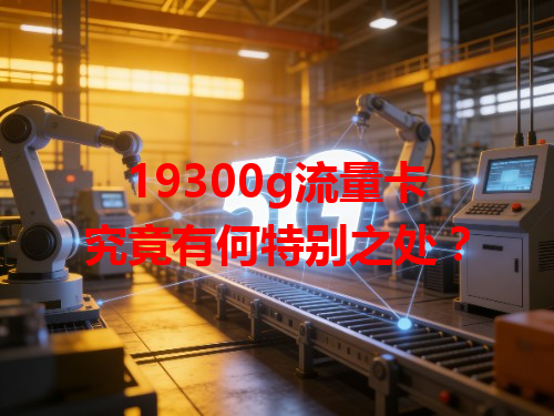 19300g流量卡究竟有何特别之处？